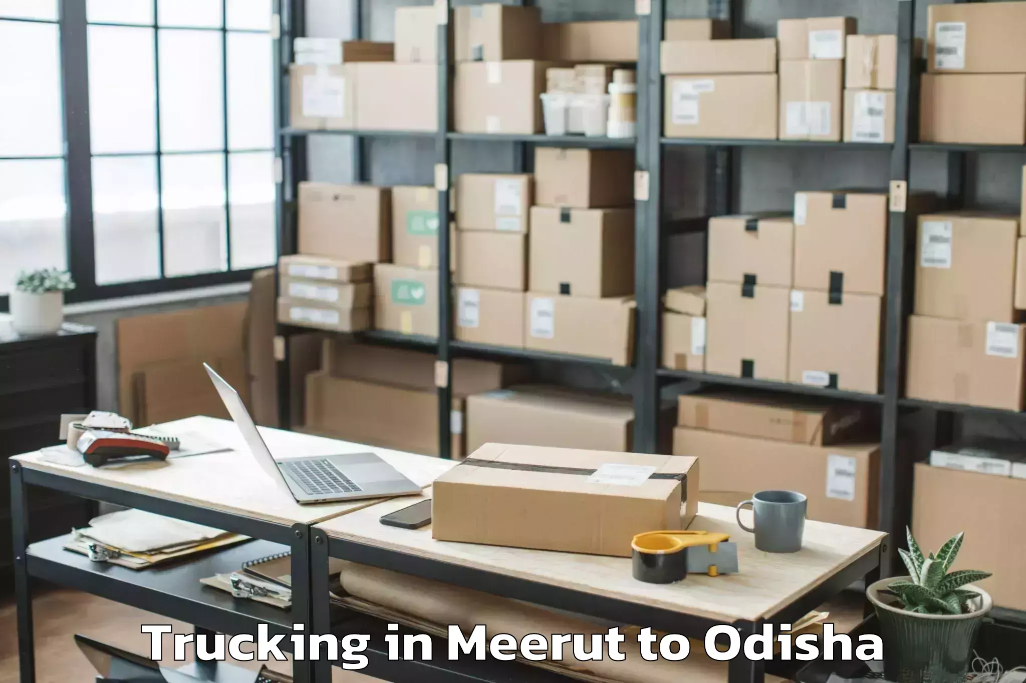 Top Meerut to Badamba Trucking Available